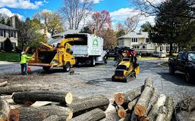 Best Hazardous Tree Removal  in New Hope, PA